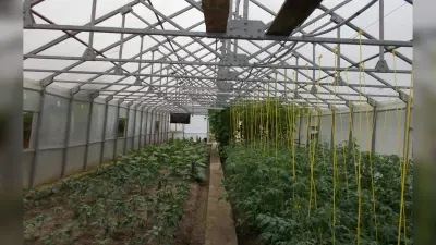 उमर खालिद ने मांगी परिवार से मिलने की इजाजत, कोर्ट ने याचिका की खारिज
