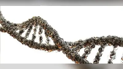 एंटीबॉडी की मौजूदगी कोविड से सुरक्षा की गारंटी नहीं : वैज्ञानिक