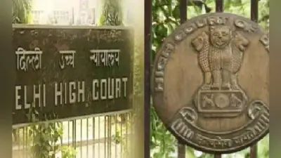 भड़काऊ भाषण पर केंद्र और दिल्ली सरकार से हाई कोर्ट ने मांगा जवाब
