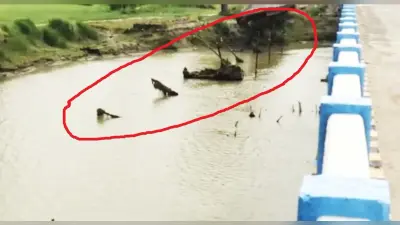 ईडी कार्यालय में पेश हुईं जयश्री घोष, भर्ती भ्रष्टाचार मामले में गिरफ्तार है कुंतल