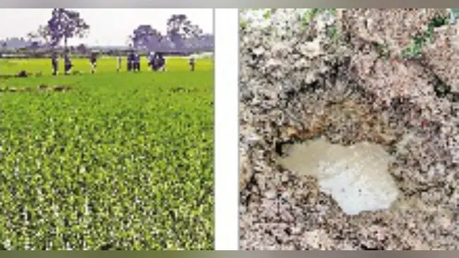 अचानक खेत में आसमान से गिरा बम, डर से इधर-उधर भागने लगे ग्रामीण