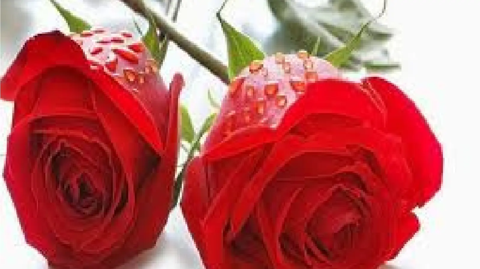 Valentine Day Week 2021: बिहार में वैलेंटाइन डे पर 12 सौ रुपये तक के बिक रहे ग्रीटिंग्स कार्ड, जानिये स्मार्ट फोन से कारोबार पर कितना पड़ा असर