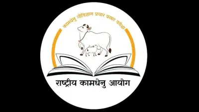 विवादास्पद दावों के बीच केंद्र सरकार ने कहा, नहीं पता, क्यों होता है देसी गाय के दूध में पीलापन?