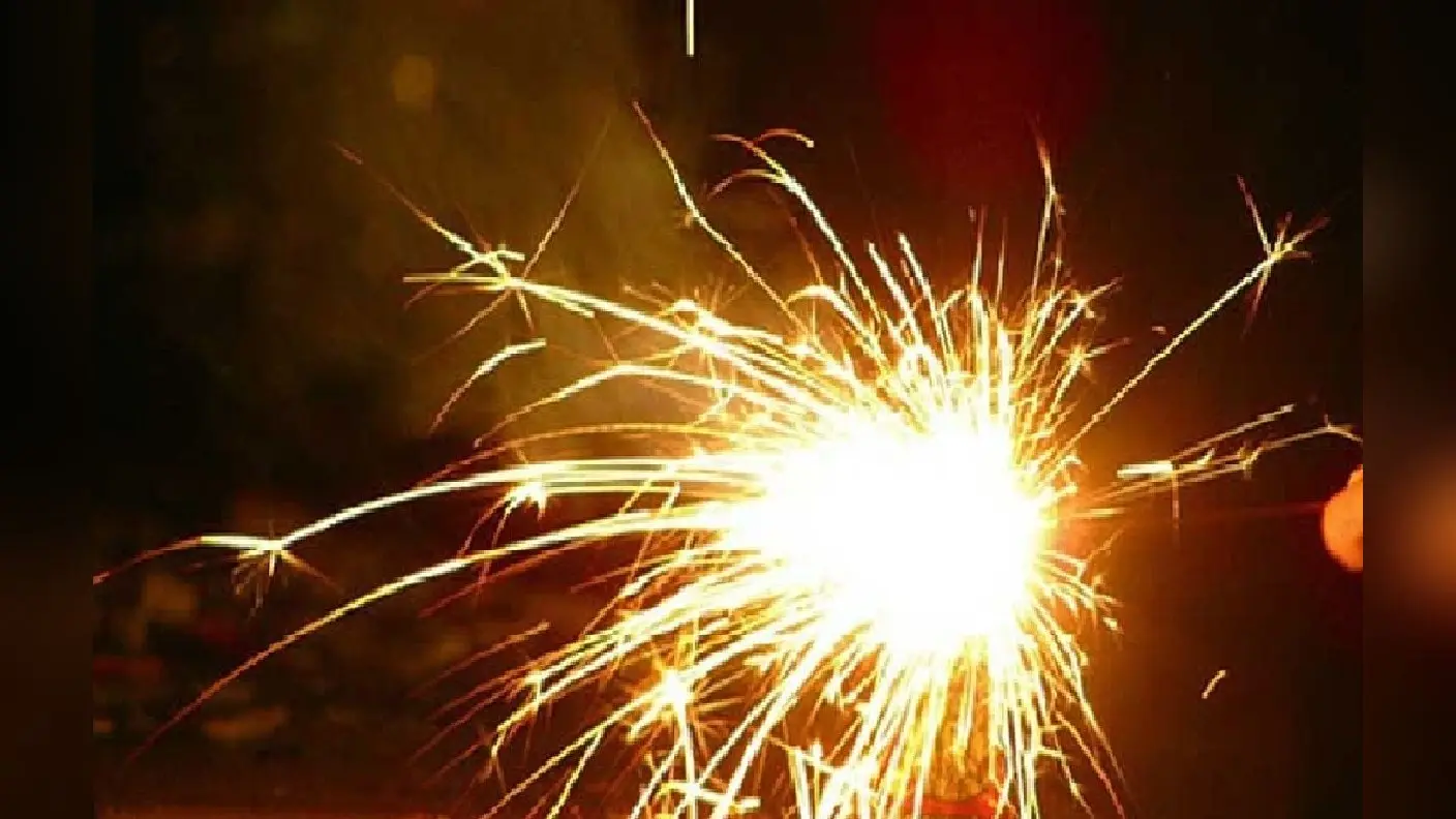 firecracker ban on diwali: छह राज्यों में पटाखो पर लगी पाबंदी, इन 14 राज्योंं में भी रोक की तैयारी