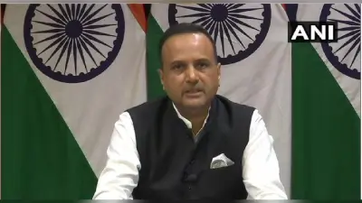 पूरी दुनिया जानती है, पाकिस्तान यूएन प्रतिबंधित आतंकियों को शरण देता है : विदेश मंत्रालय