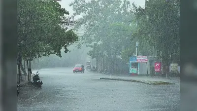 अमेरिका लगा रहा है पता चीन में कहां से निकली है कोरोना वायरस की बीमारी