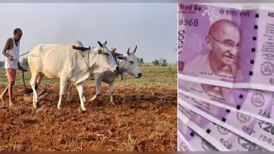 UP Chunav 2022 : मायावती ने बीजेपी की चुनावी रणनीति से लिया सबक, पहली बार नियुक्त किये पार्टी प्रवक्ता
