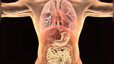 Unwanted Organs In Human Body: शरीर में Appendix, Gallbladder समेत होते है 8 ऐसे अंग जिनके बिना भी जी सकते है हम