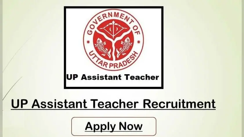 UP Assistant Teacher Recruitment: 69 हजार से अधिक एक भी भर्ती नहीं, HC ने एकल पीठ के आदेश पर लगाई मुहर