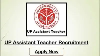 UP Assistant Teacher Recruitment: 69 हजार से अधिक एक भी भर्ती नहीं, HC ने एकल पीठ के आदेश पर लगाई मुहर