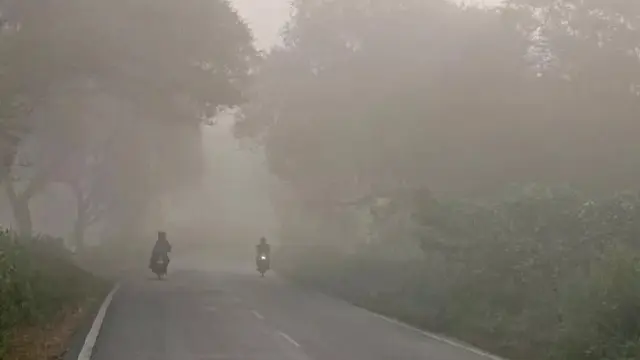 UP Weather Forecast LIVE: यूपी में दो दिनों तक पूर्वी हवाएं बढ़ाएंगी सिहरन, 1 नवंबर से तापमान में होगा इजाफा