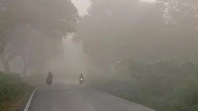 UP Weather Forecast LIVE: यूपी में दो दिनों तक पूर्वी हवाएं बढ़ाएंगी सिहरन, 1 नवंबर से तापमान में होगा इजाफा