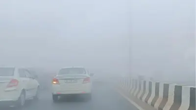 UP Weather Forecast LIVE: यूपी में ठिठुरन वाली सर्दी के लिए करना होगा इंतजार, धुंध और करेगी परेशान