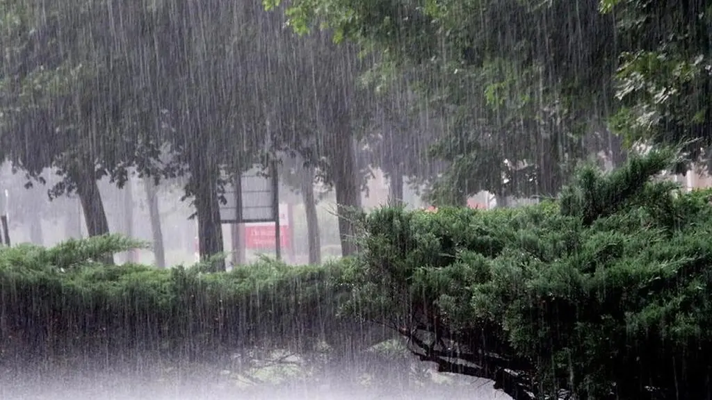 UP Weather Update: यूपी में कहीं बारिश कहीं उमस का मौसम, इन जिलों में बरसेंगे बादल, जानें अपने शहर का हाल