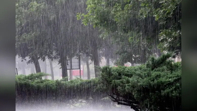 UP Weather Update: पश्चिमी यूपी-पूर्वांचल में आज बरसेंगे बादल, 16 अगस्त तक बारिश के आसार, जानें शहरों का मौसम