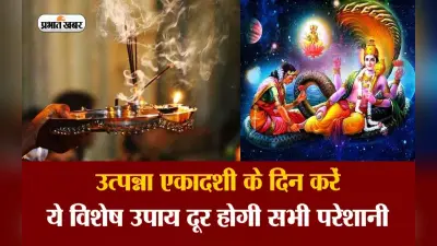 Utpanna Ekadashi 2022 Totke: कल है उत्पन्ना एकादशी, इस दिन करें ये टोटके, लक्ष्मी मां की बरसेगी कृपा