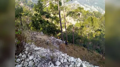 उत्तराखंड हादसा: बरात से लौट रहा वाहन खाई में गिरा, 14 के शव अब तक निकाले गये, पीएम मोदी ने शोक जताया