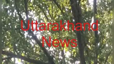 Uttarakhand: BJP अनुसूचित मोर्चा के जिलाध्यक्ष ने तहसील में पेड़ पर चढ़कर दी आत्महत्या की चेतावनी, पेट्रोल छिड़का