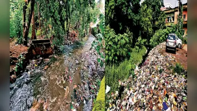 बोकारो : बदहाली पर आंसू बहा रहा है सिंगारी जोरिया, गंदगी से लोगों का जीना हुआ मुहाल