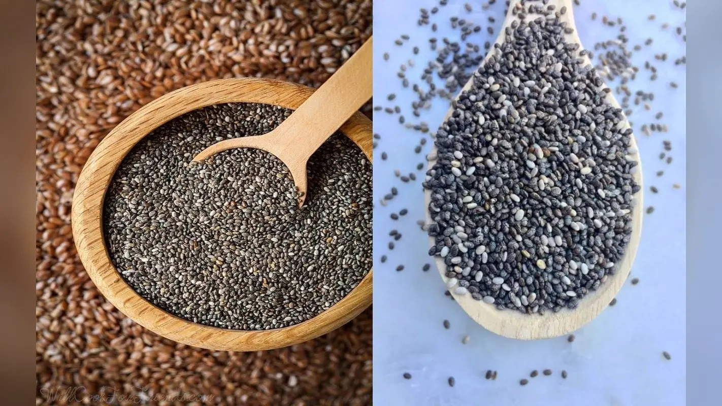ये हैं चिया सीड्स के 10 बड़े फायदे, पूरे शरीर के लिए है हेल्दी