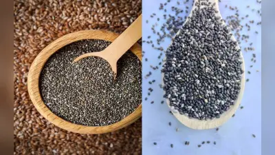 ये हैं चिया सीड्स के 10 बड़े फायदे, पूरे शरीर के लिए है हेल्दी