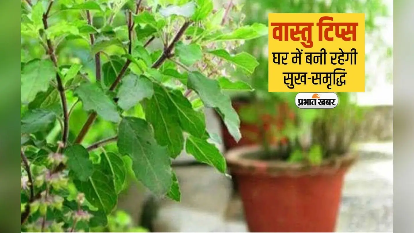 Vastu Tips: घर में तुलसी और शमी के पौधे को क्या एक साथ रखना चाहिए, जानिए क्या कहता है ज्योतिष शास्त्र