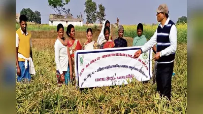 Jharkhand News: वीर बुधु भगत के गांव में कृषि को मिलेगा बढ़ावा, वैज्ञानिकों ने उठाया बड़ा कदम
