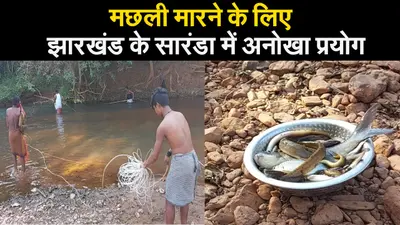 मछली मारने का ऐसा जानलेवा तरीका आपने पहले नहीं देखा होगा…