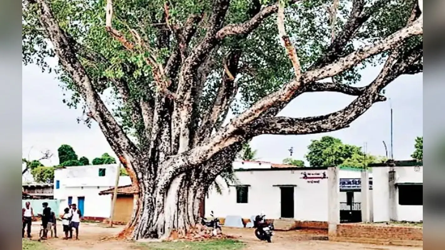 झारखंड का एक ऐसा गांव जहां के ग्रामीण नशेपन से हैं कोसों दूर, पढ़ें पूरी खबर