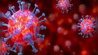 Coronavirus in Bihar : बिहार में थम नहीं रहा संक्रमण का सैलाव, एक दिन में मिले 4157 नये मामले, अकेले पटना में 1205 लग मिले संक्रमित