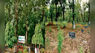 ‘नेचर स्कूल’ की भूमिका में है बोकारो का जैविक उद्यान, पेड़-पौधों का अध्ययन करने आते हैं विद्यार्थी