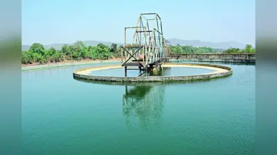 Water Crisis: बिहार के 31 जिलों में भूजल हुआ जहरीला, केमिकल वाले पानी ने बढ़ाया कैंसर का खतरा