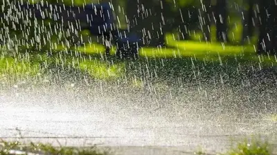 UP Weather Update: यूपी में 14 अगस्त तक बरसेंगे बादल, IMD ने चेतावनी की जारी, जानें प्रमुख शहरों का मौसम