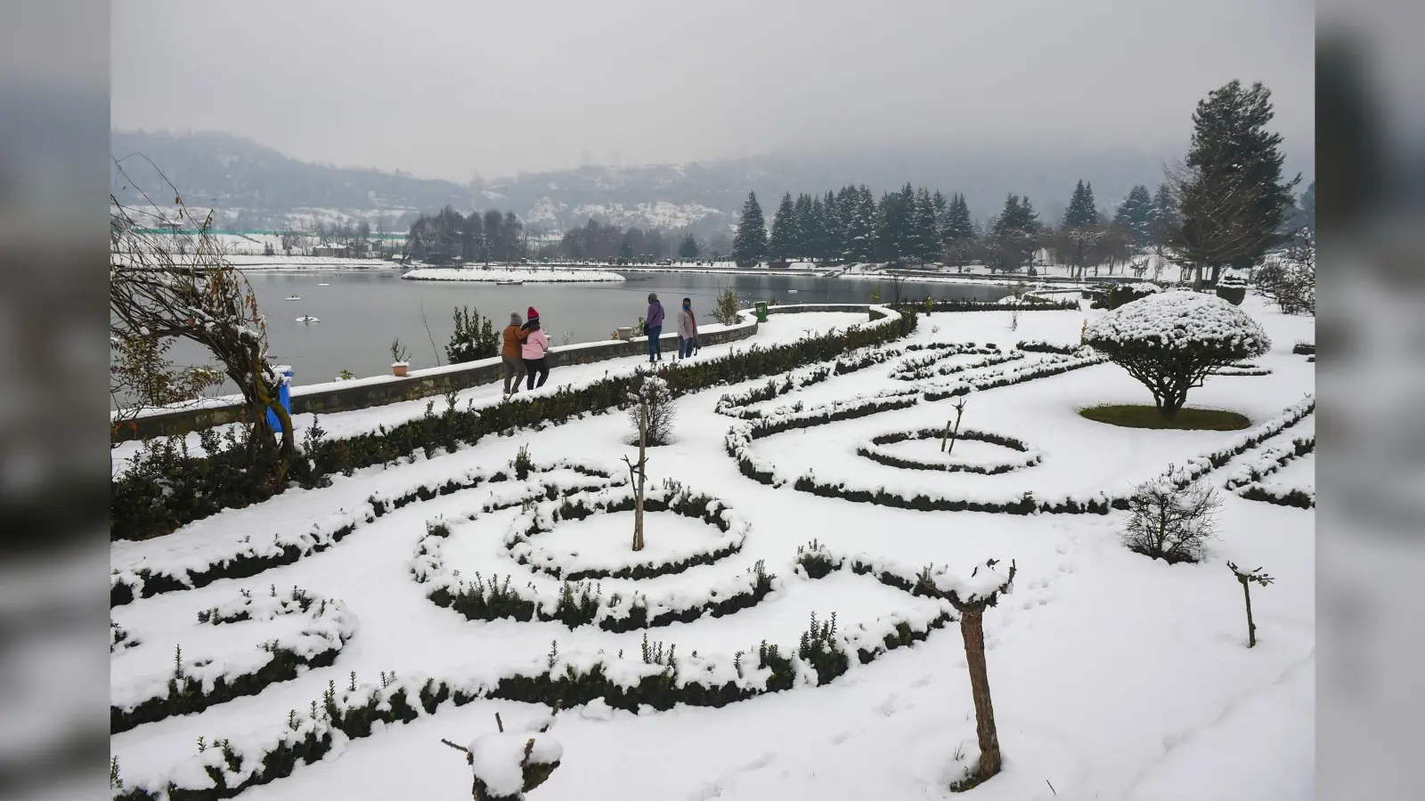 Snowfall In Srinagar: कश्मीर की धरती पर जन्नत का मंज़र, हसीं वादियों में महक रही केसर, हर तरफ बर्फ की सफेद चादर