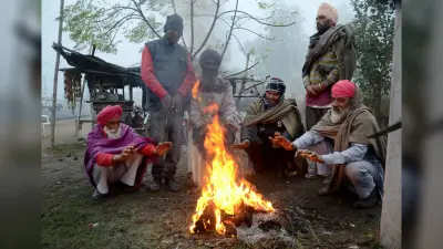 Rajasthan Weather Alert: राजस्थान के कई जिले शीतलहर और घने कोहरे की चपेट में, मौसम विभाग ने जारी किया अलर्ट