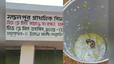 West Bengal: बीरभूम के स्कूल में मिड डे मील में सांप मिलने के मामले में प्रधानाध्यापक को कारण बताओ नोटिस