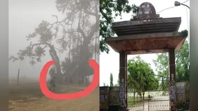 बिहार में 200 साल पुराने बरगद पेड़ को बचाने की उठी मांग, ब्रिटिश जज के साथ जुड़ी है ऐतिहासिक कहानी,