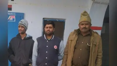 Bareilly News: बरेली में गोवंश चोरी कर गोकशी करने वाले दो आरोपी गिरफ्तार, उपकरण बरामद