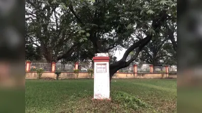BHU में आज भी मौजूद है ऐतिहासिक रिपब्लिक डे ट्री, जो बयां करती है 26 जनवरी 1950 के दौर की कहानी