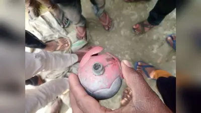 Kushinagar News: कुशीनगर में अचानक खेत में विस्फोट होने से ग्रामीणों में दहशत, हैंड ग्रेनेड बरामद