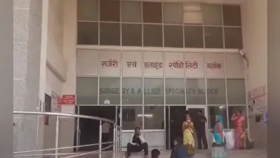 Agra News: एसएन मेडिकल कॉलेज की 8 मंजिला इमारत में लगी आग, गोद में मरीजों को लेकर तीमारदार भागते दिखे
