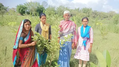 जैविक खेती कर चर्चा में है पेटरवार का दिगवार परिवार, केंद्रीय मंत्री नितिन गडकरी ने भी मंगाया आलू