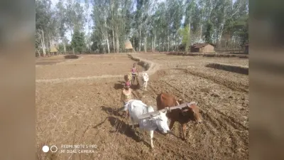गढ़वा में मात्र 18 फीसदी बारिश होने से पीने के पानी पर भी संकट, सूखे की स्थिति बनी