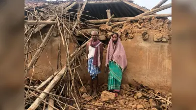 Jharkhand News: बोकारो में जंगली हाथियों ने मचाया आतंक, कई ग्रामीणों के घर किए क्षतिग्रस्त