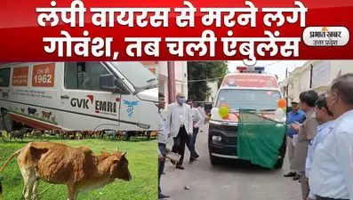 Lucknow News: लापरवाही ने लगा दी थी बीमार पशुओं की एंबुलेंस को ब्रेक