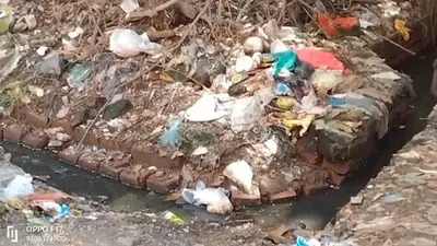 Dengue in Bihar: डेंगू की स्थिति हुई चिंताजनक, शहर में फैली है गंदगी, जानें तेजस्वी ने क्या दिया निर्देश
