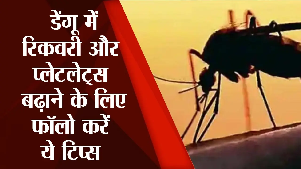 डेंगू में बेहतर रिकवरी और प्लेटलेट्स बढ़ाने के लिए लिक्विड डाइट लें, अपनाएं ये टिप्स