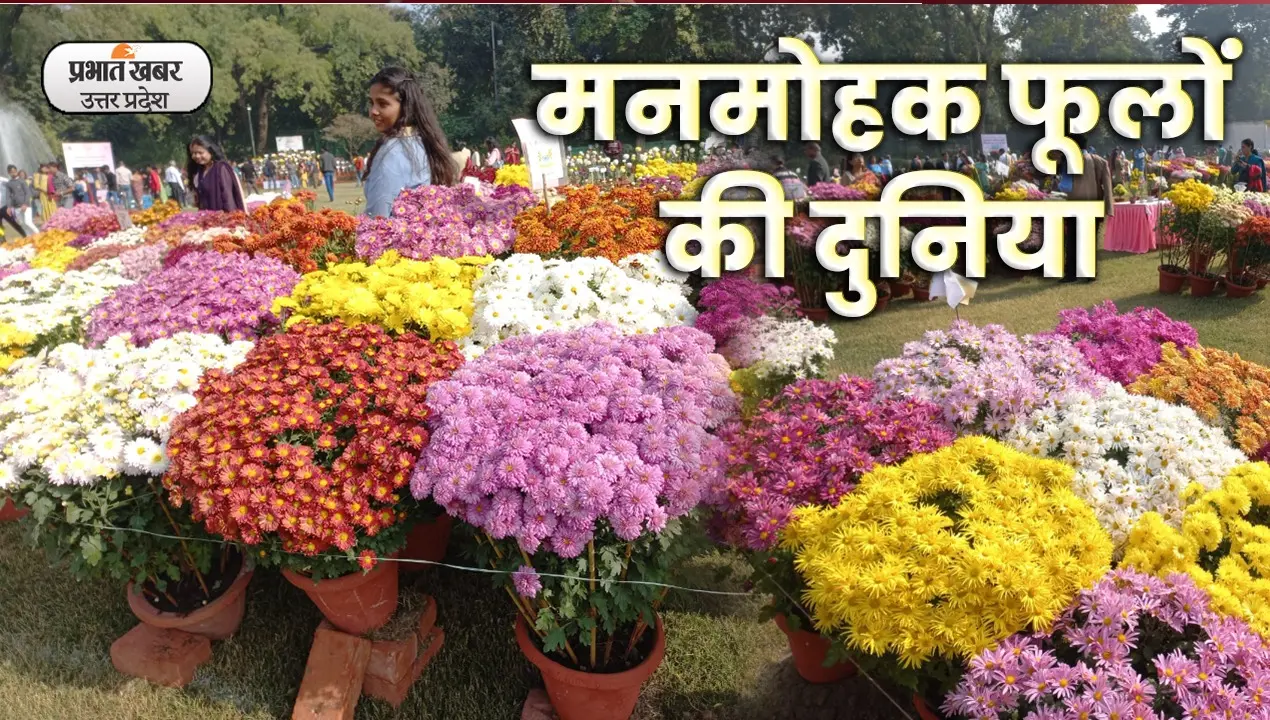 Flower Show: लखनऊ में दो दिवसीय गुलदाउदी व कोलियस पुष्प प्रदर्शनी का आयोजन