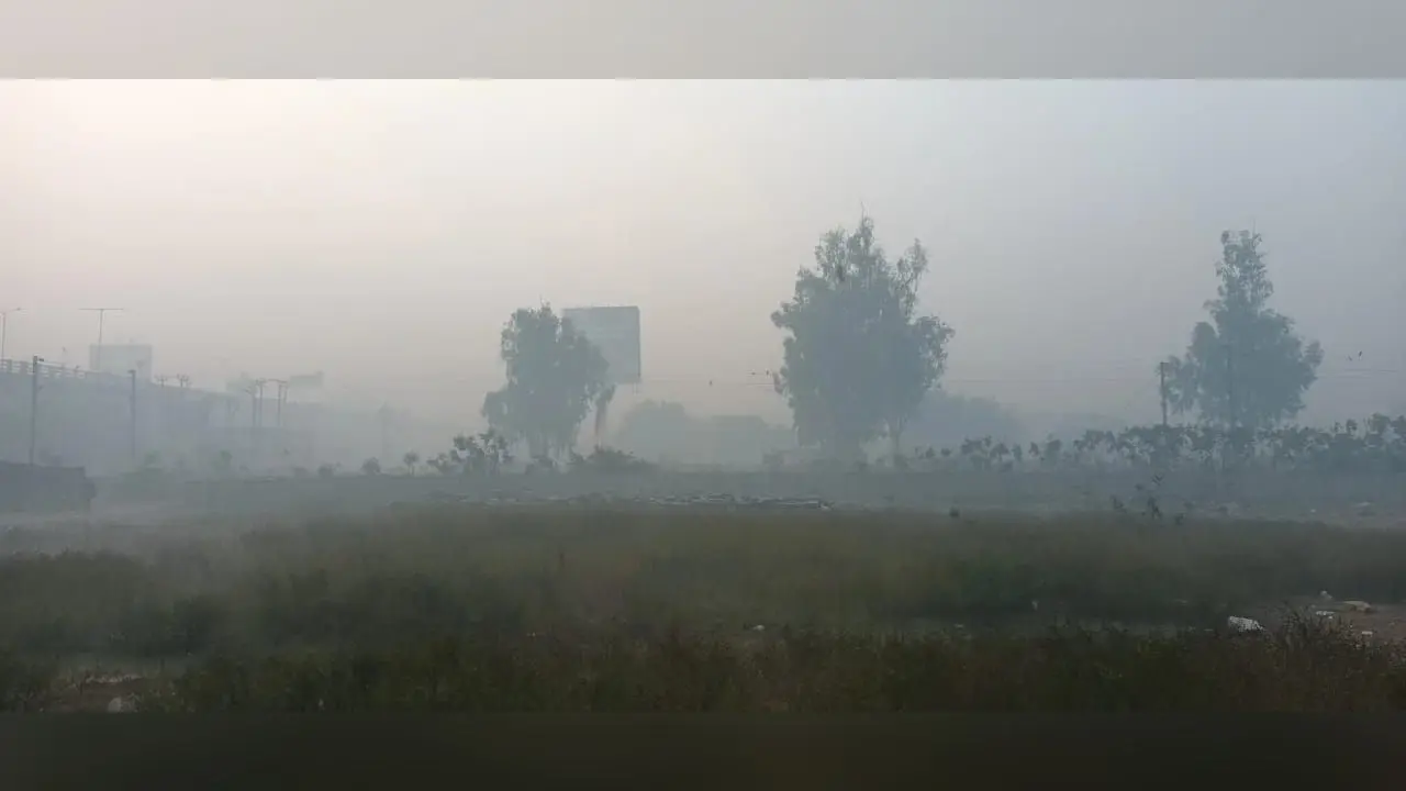 UP Weather Update: पछुआ हवाओं का असर, नए साल में छाया रहेगा घना कोहरा, जानें, कैसा रहेगा आज का मौसम…
