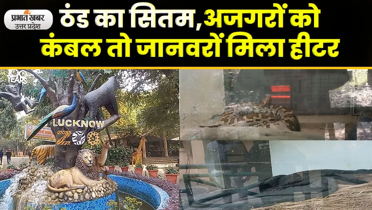 Lucknow zoo : सर्दी से पहले जानवरों को बचाने की ऐसे की गई है तैयारी, शेर – चीता और चिड़िया के लिए खास इंतजाम